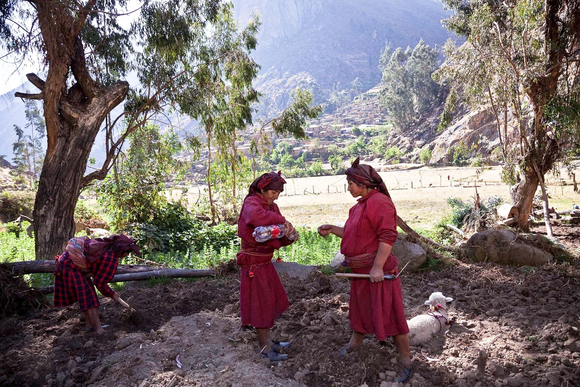  Casilda sharing a drink  (chamiscol)  with Betty during work at her farm. 