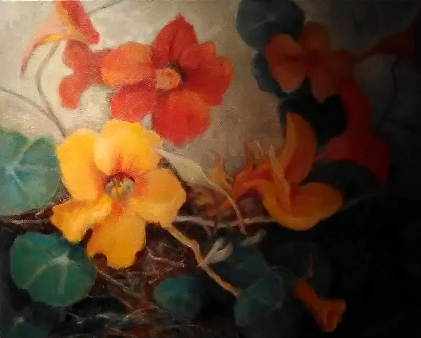 Nasturtiums