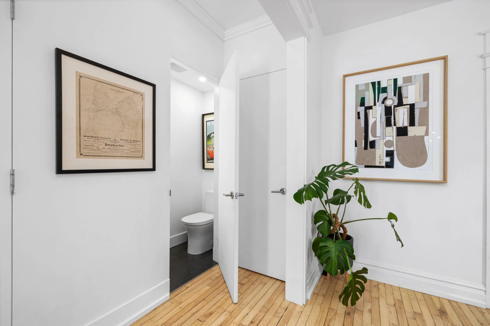 45 Springfield - Grant Real Estate - 010.jpg