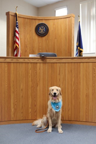 trigger at courthouse.jpg