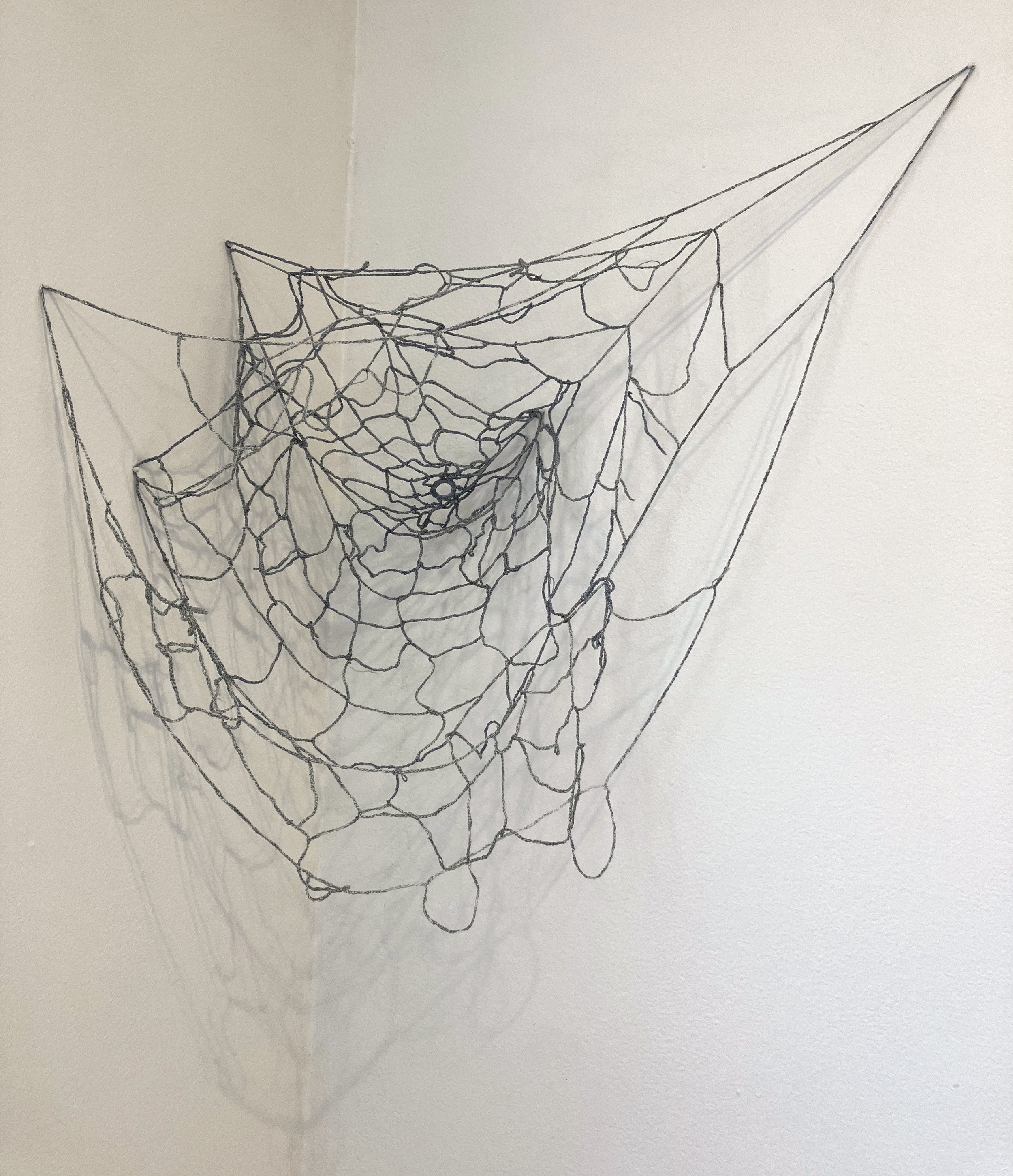 Spiderweb.jpg