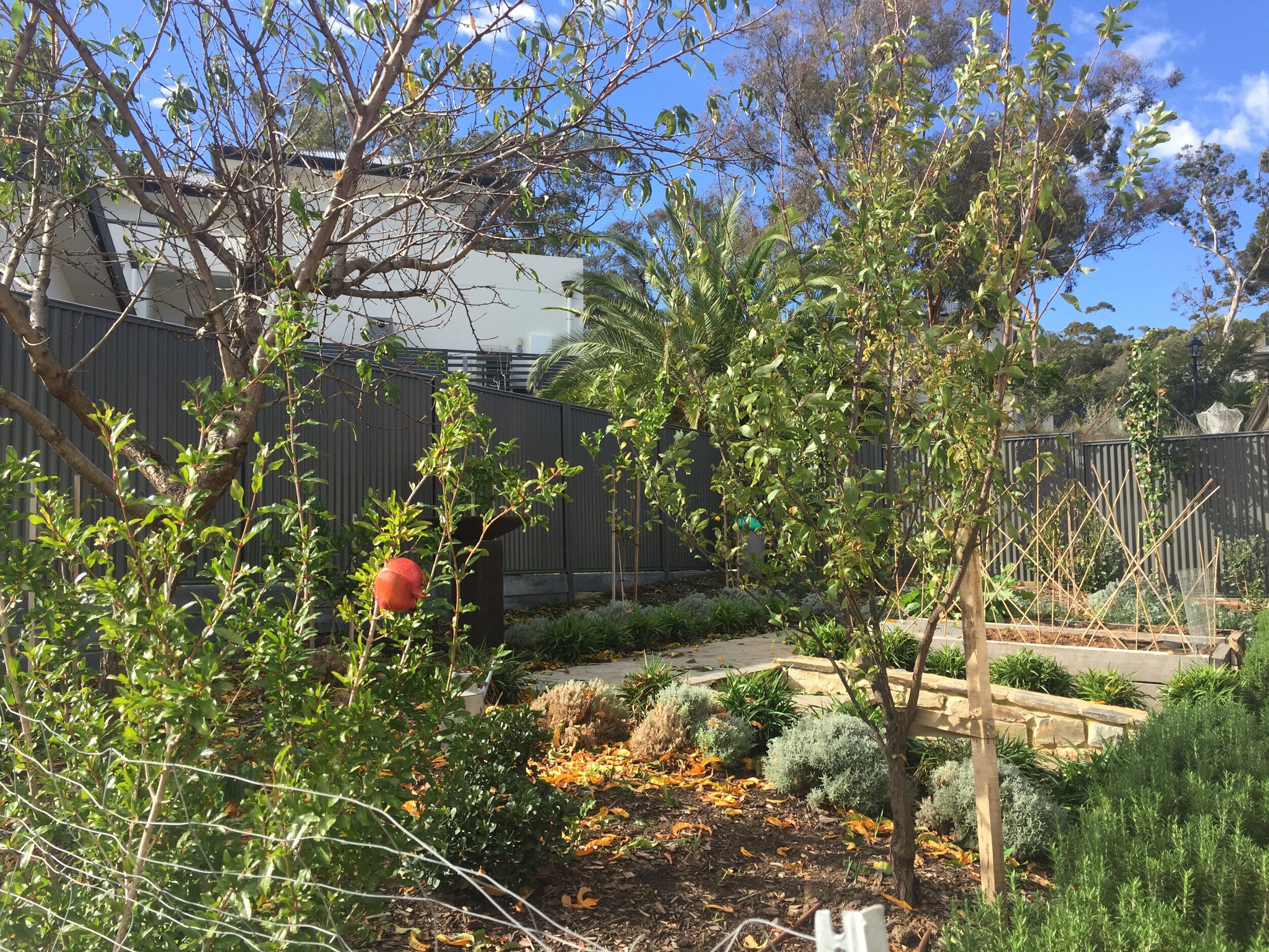 kitchen garden grown.jpg