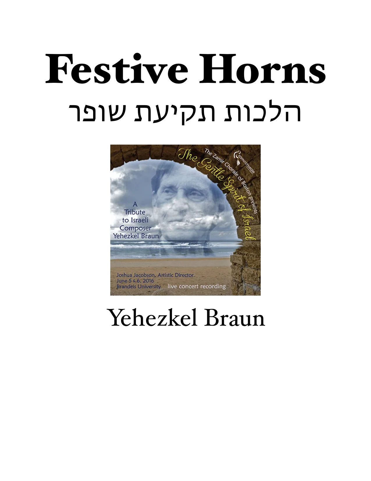 braun cover.jpg