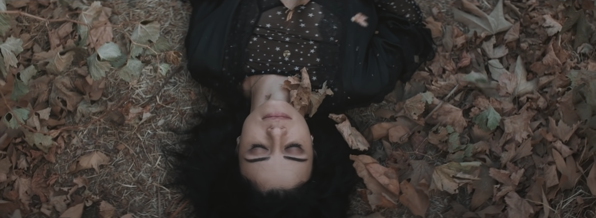Ninet | Gibor