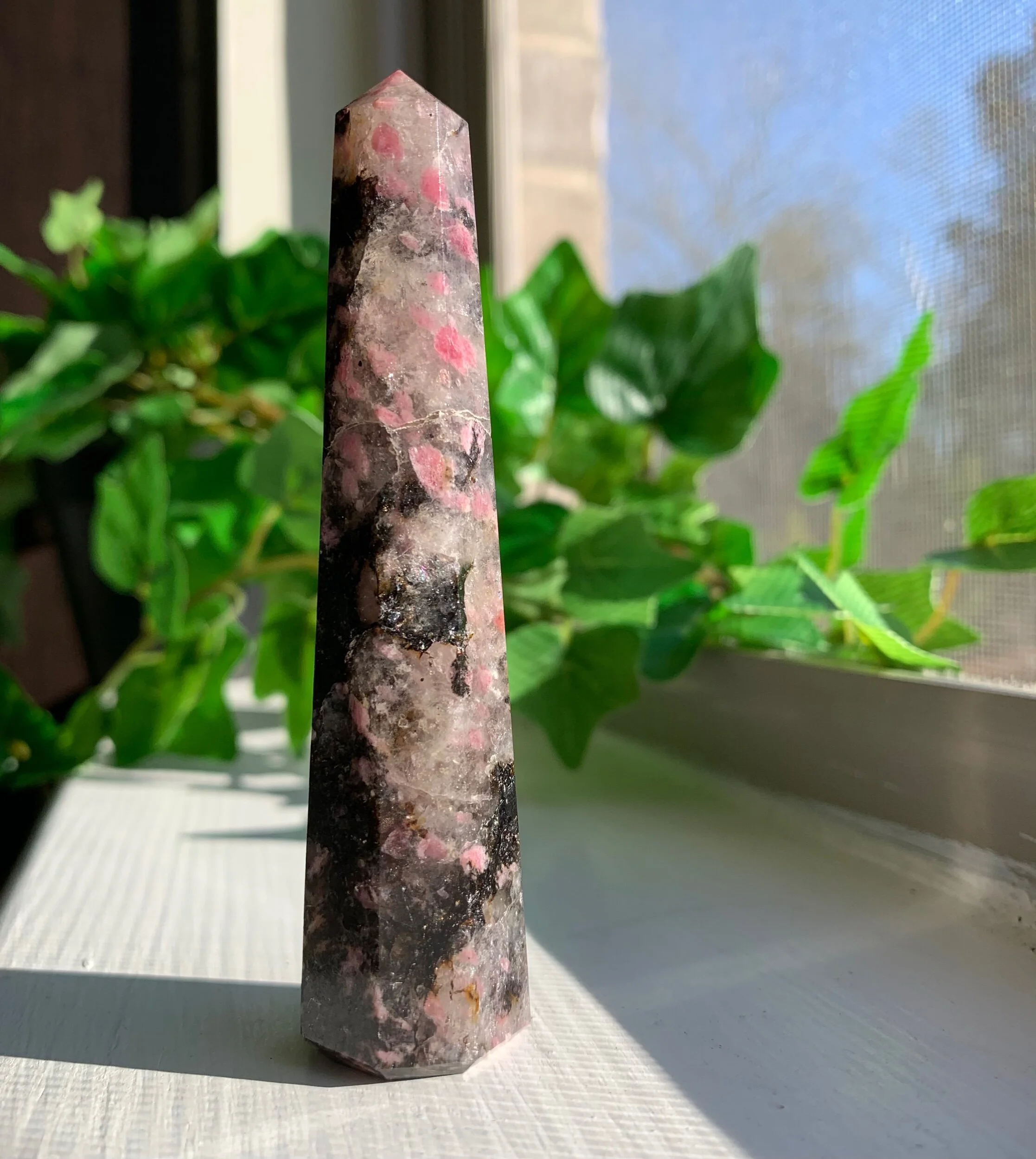 C5F2D9C0-99FE-46A9-96F0-C7B47DDF07A9