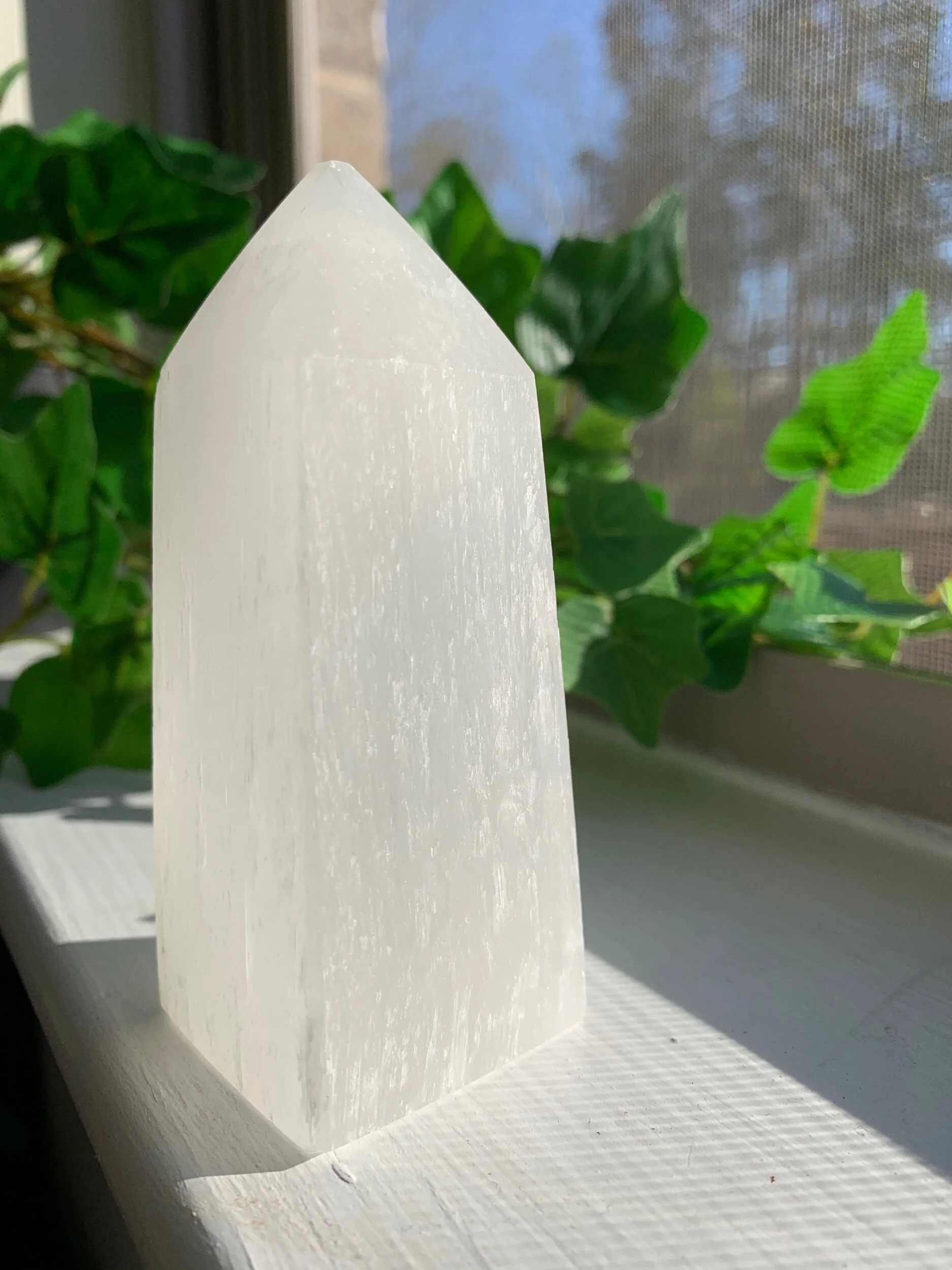 098E7DC5-517A-4DA9-8A74-CABA6A73CB29