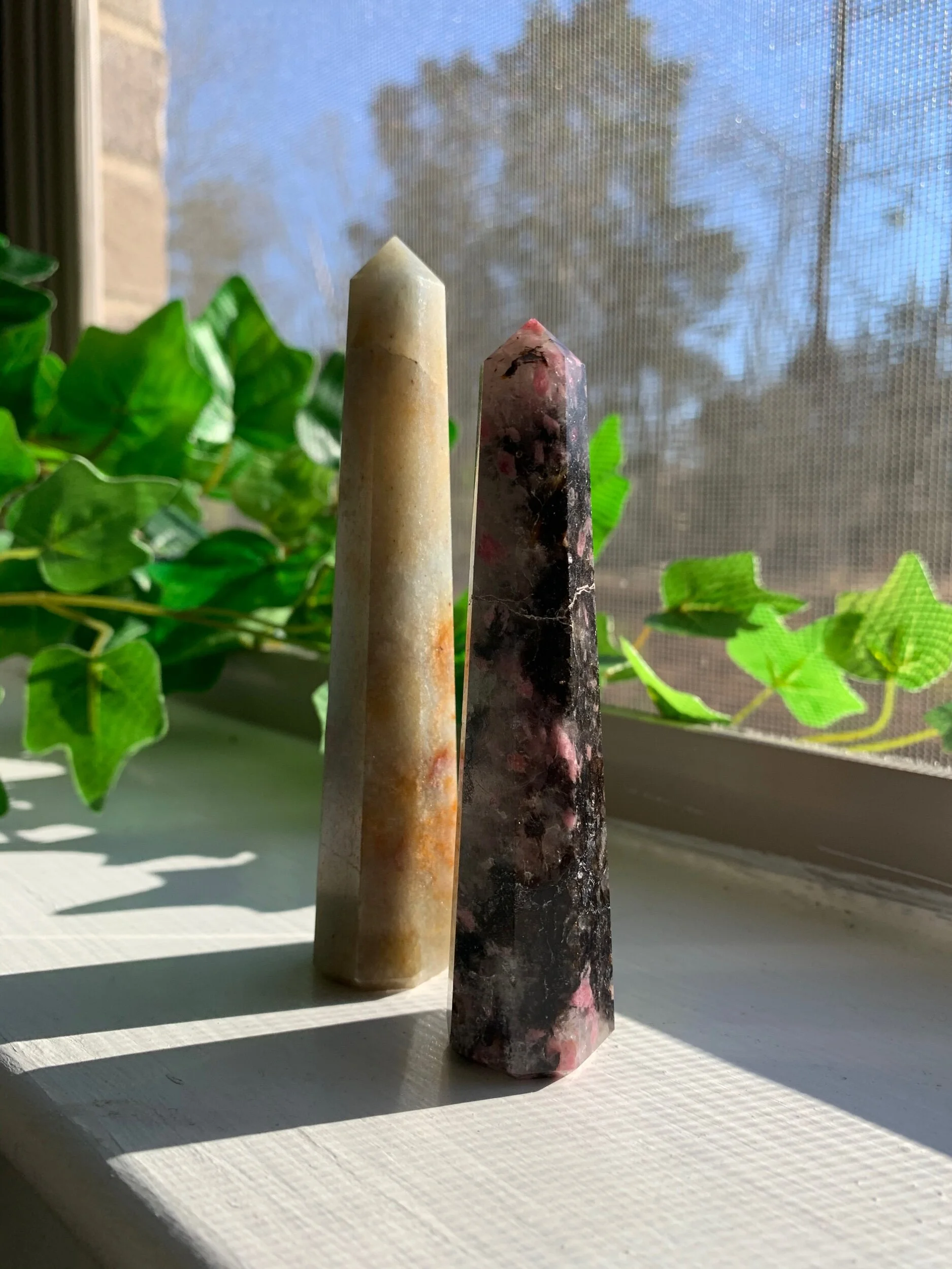 209E6CC1-E795-4906-B659-B6706C8D807C