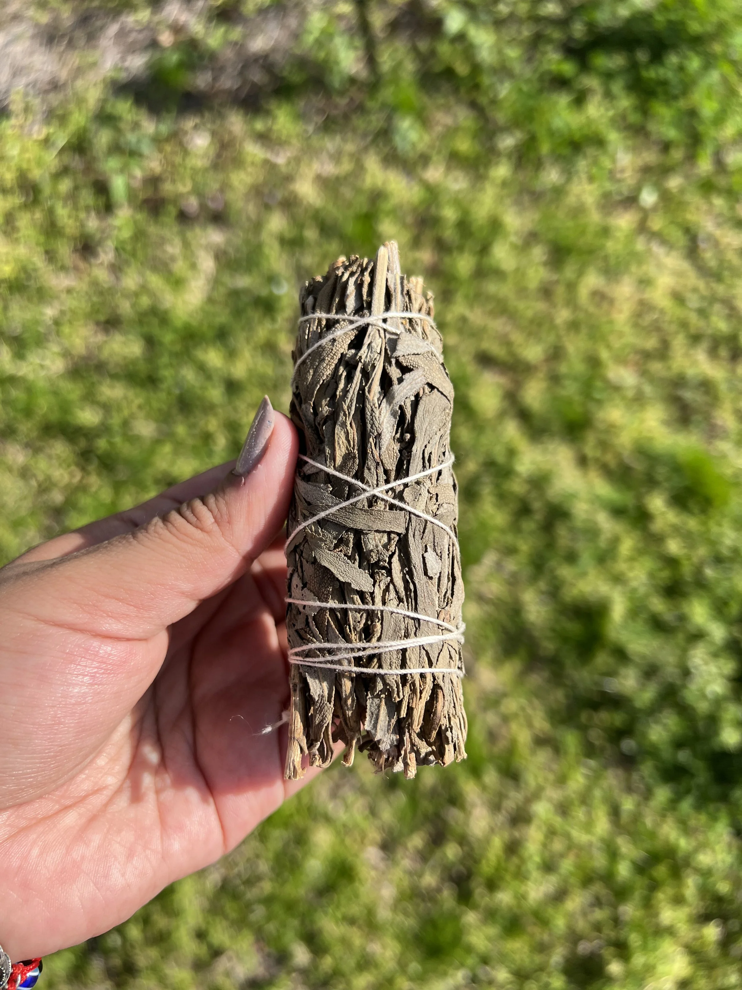 Wild Lavender Bundle