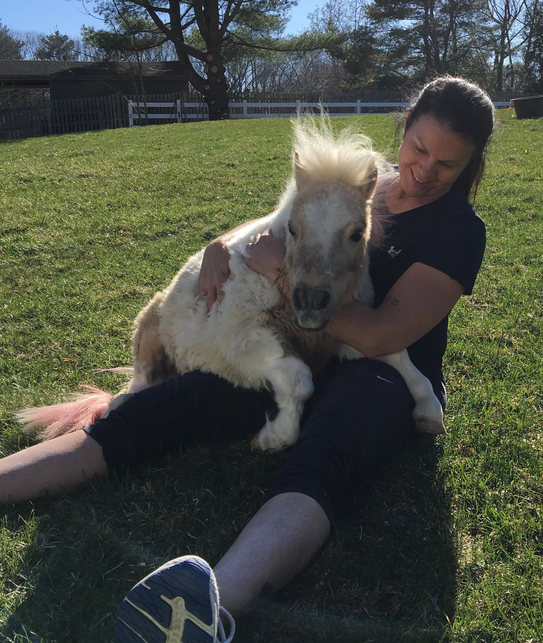 Standlee Western Forage Article