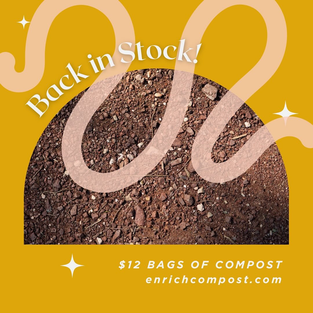 We are *so* back, baby! Bags of ready to use compost have been replenished on the site- go get &lsquo;em 🪱