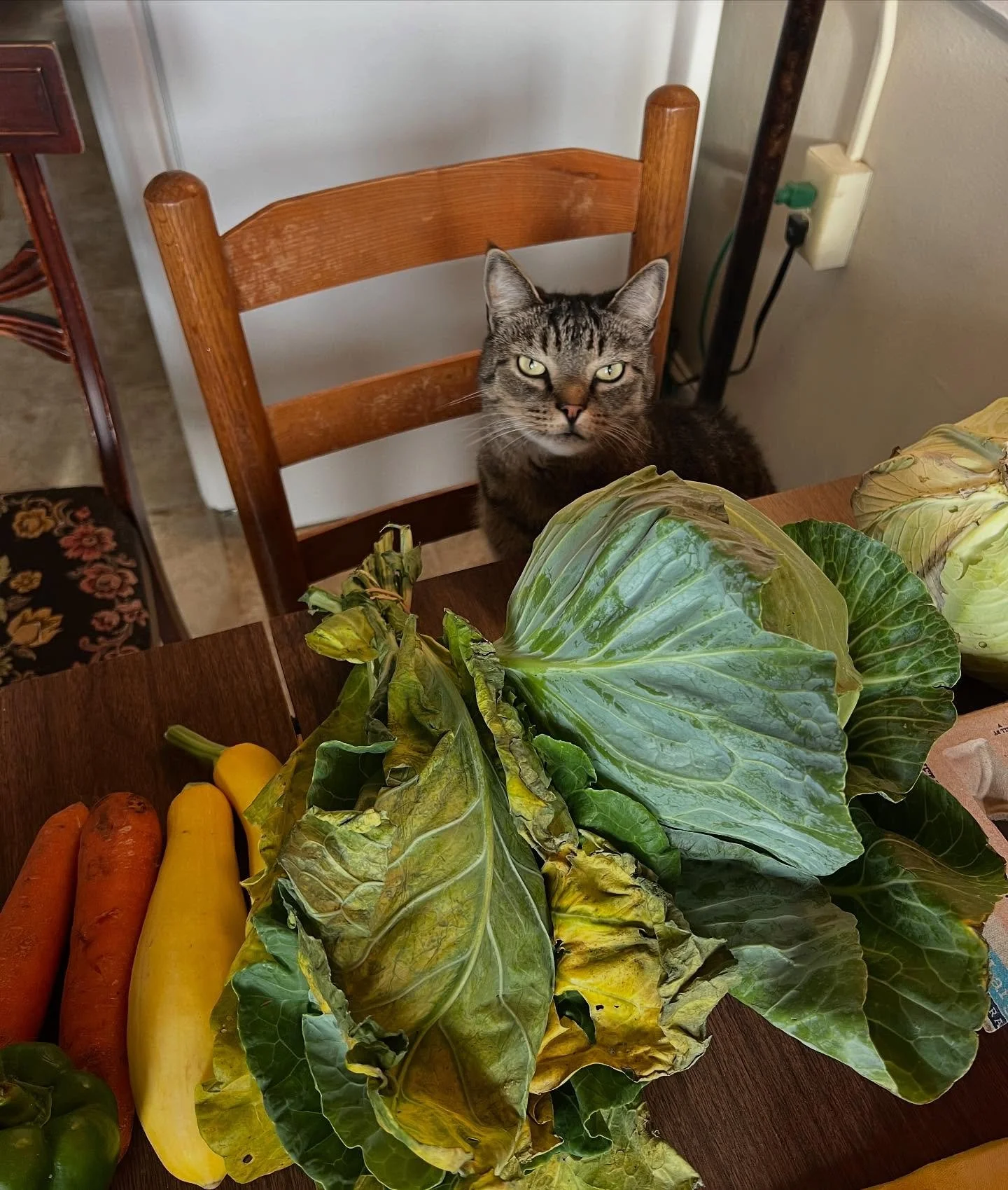 Who here has a CSA share? There are so many beautiful options in Richmond! We&rsquo;ve been participating in @northsidefoodaccess and it&rsquo;s been amazing to have local veggies each week. They have a great program for EBT users PSA!!! If you can&r