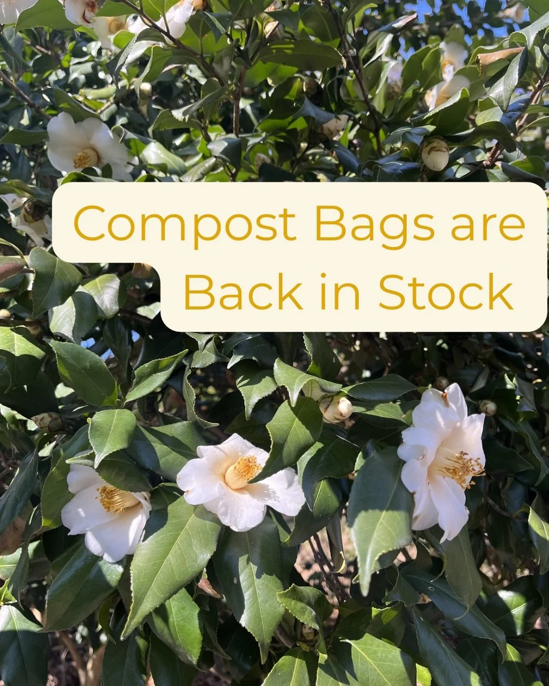 pics from the routes ✨ also, ready to use compost bags are back on the site!