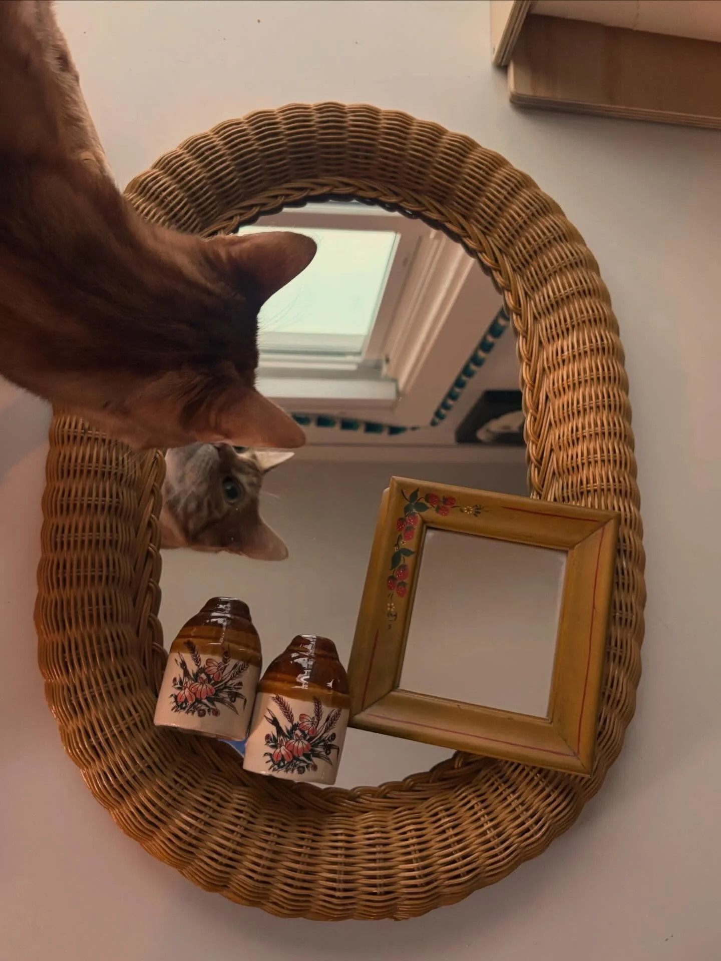 Ziggy is always photobombing my set up&hellip; at least his coloring matches nicely 🧡
&bull;
&bull;
&bull;
#orangetabby #vintage #boho #flatlay #mirrors