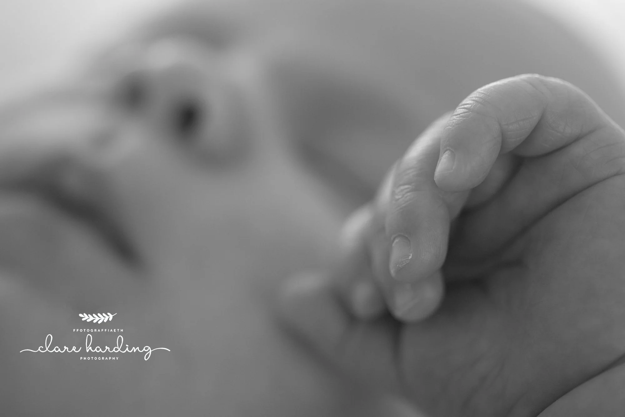 cardiff newborn photographer