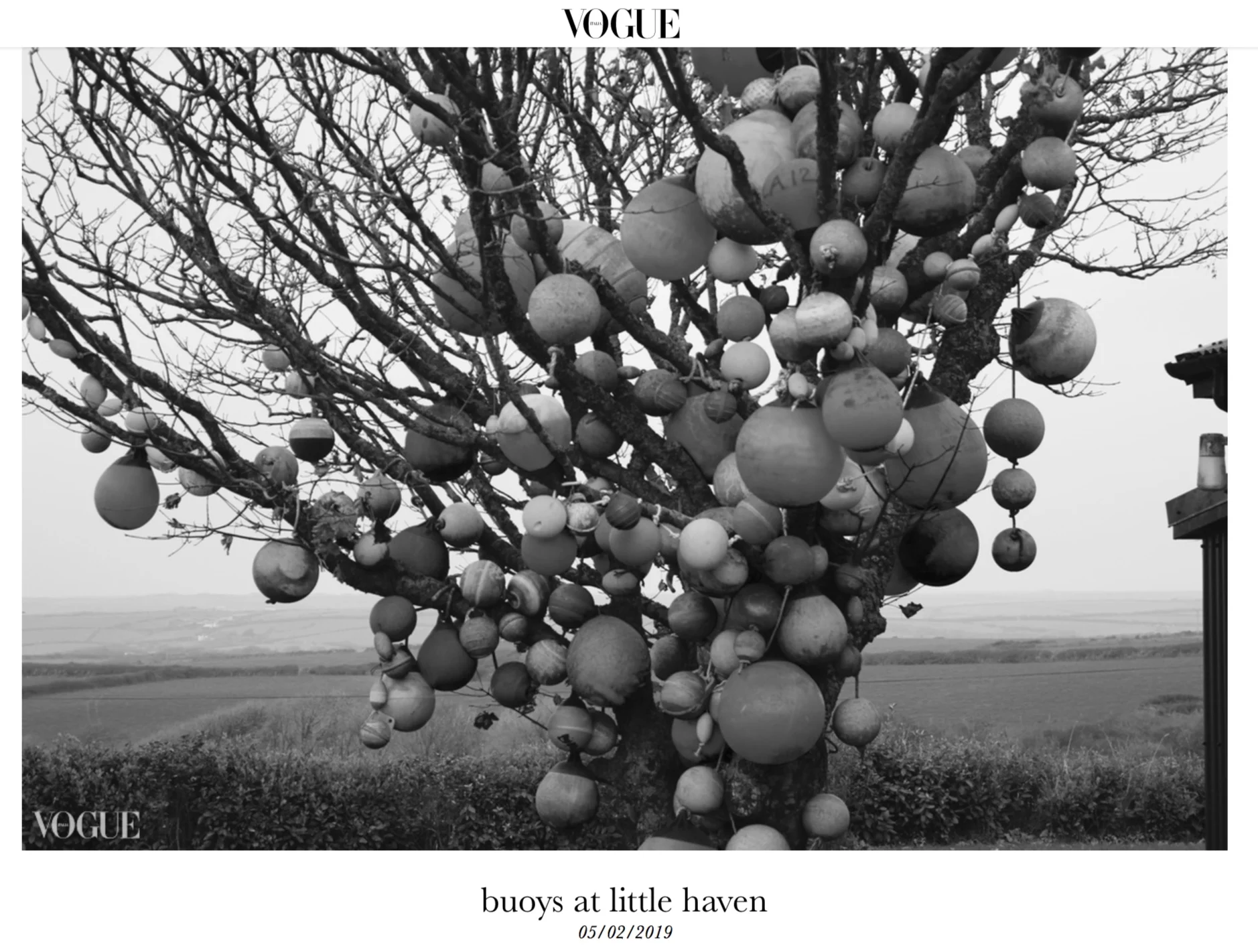 vogue+buoys+at+little+haven.jpg