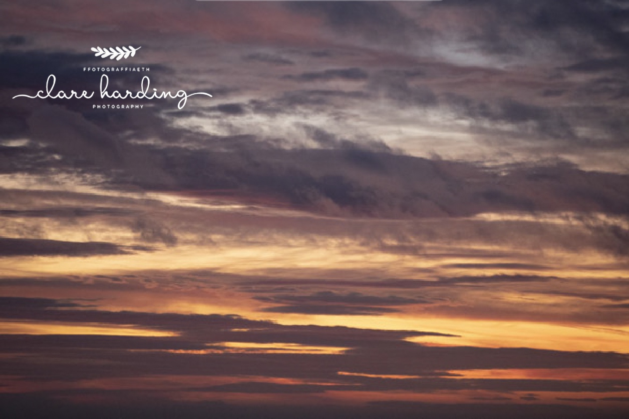 sunset+2.jpg