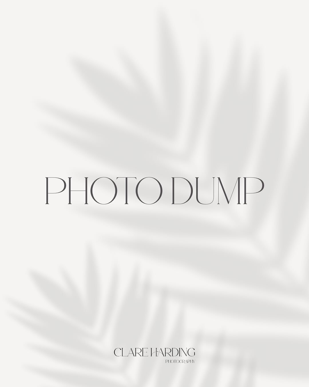 october. a month of goodbyes and new beginnings. 

1. autumn in the city
2. mountains of boxes and a keen supervisor to the unpacking
3. mounted games carnage at HOYS
4. new cake &amp; coffee spots
5. getting rid of the bright walls
6. same but diffe