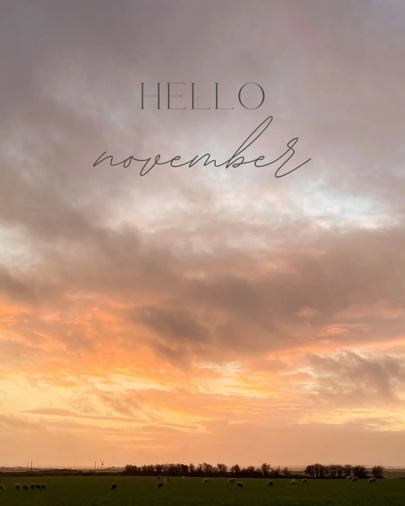 E &amp; i went up to Sir F&ocirc;n last week. We passed the house we used to live in, the one where i took this photo one random november afternoon, out of my bedroom window 🥲

i also brought our pony trailer back down with me (as my lovely friend h