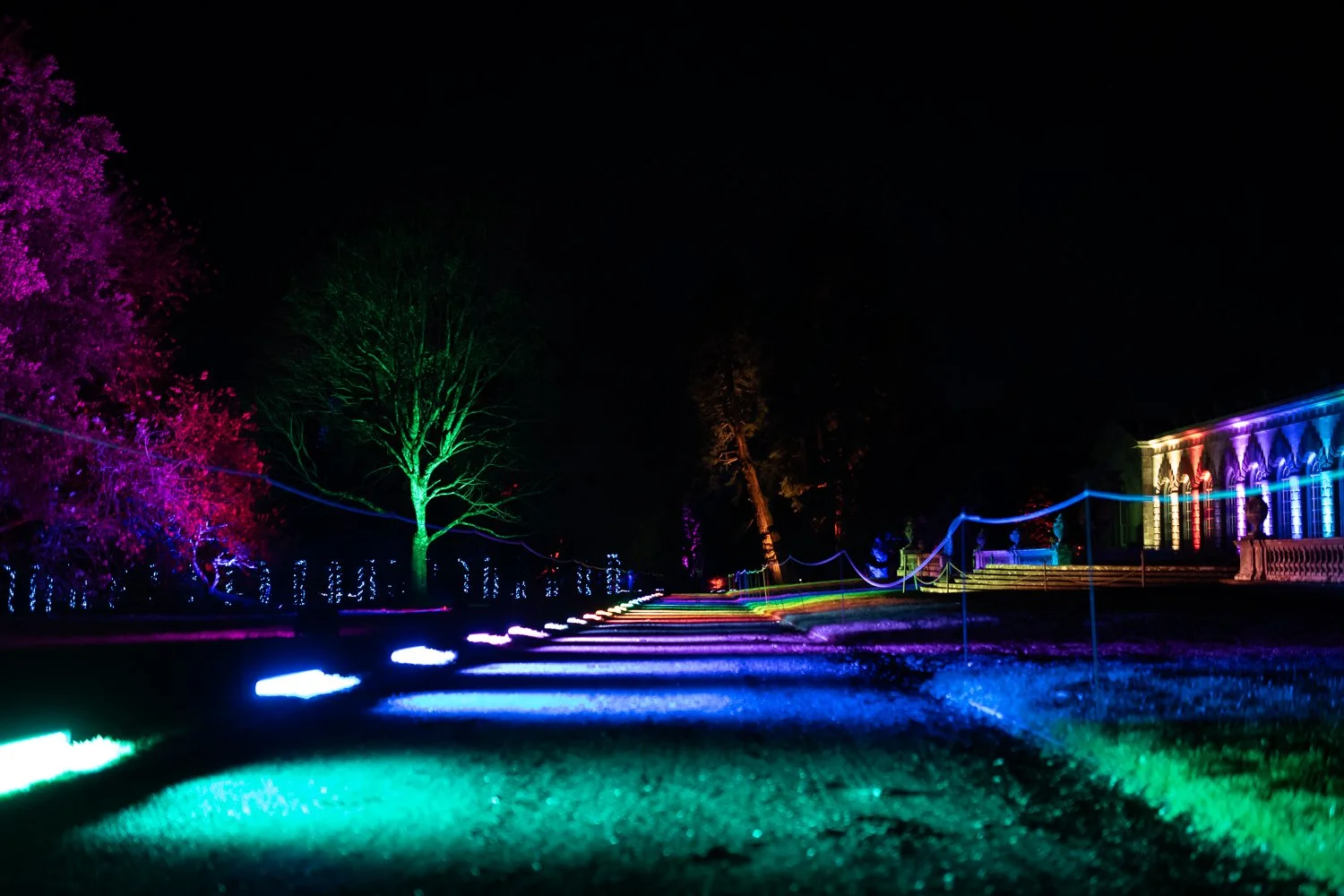 luminate 2025-3.jpg