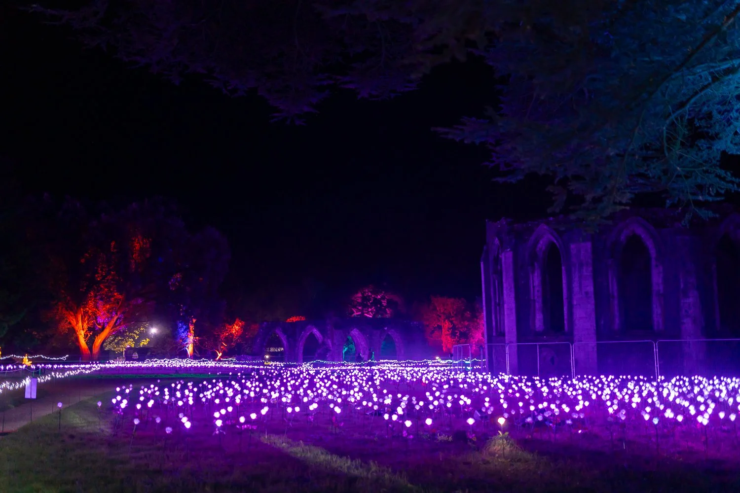 luminate 2025-11.jpg