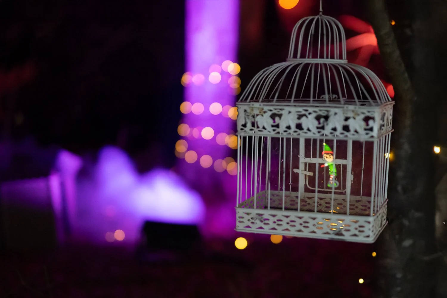 luminate 2025-14.jpg