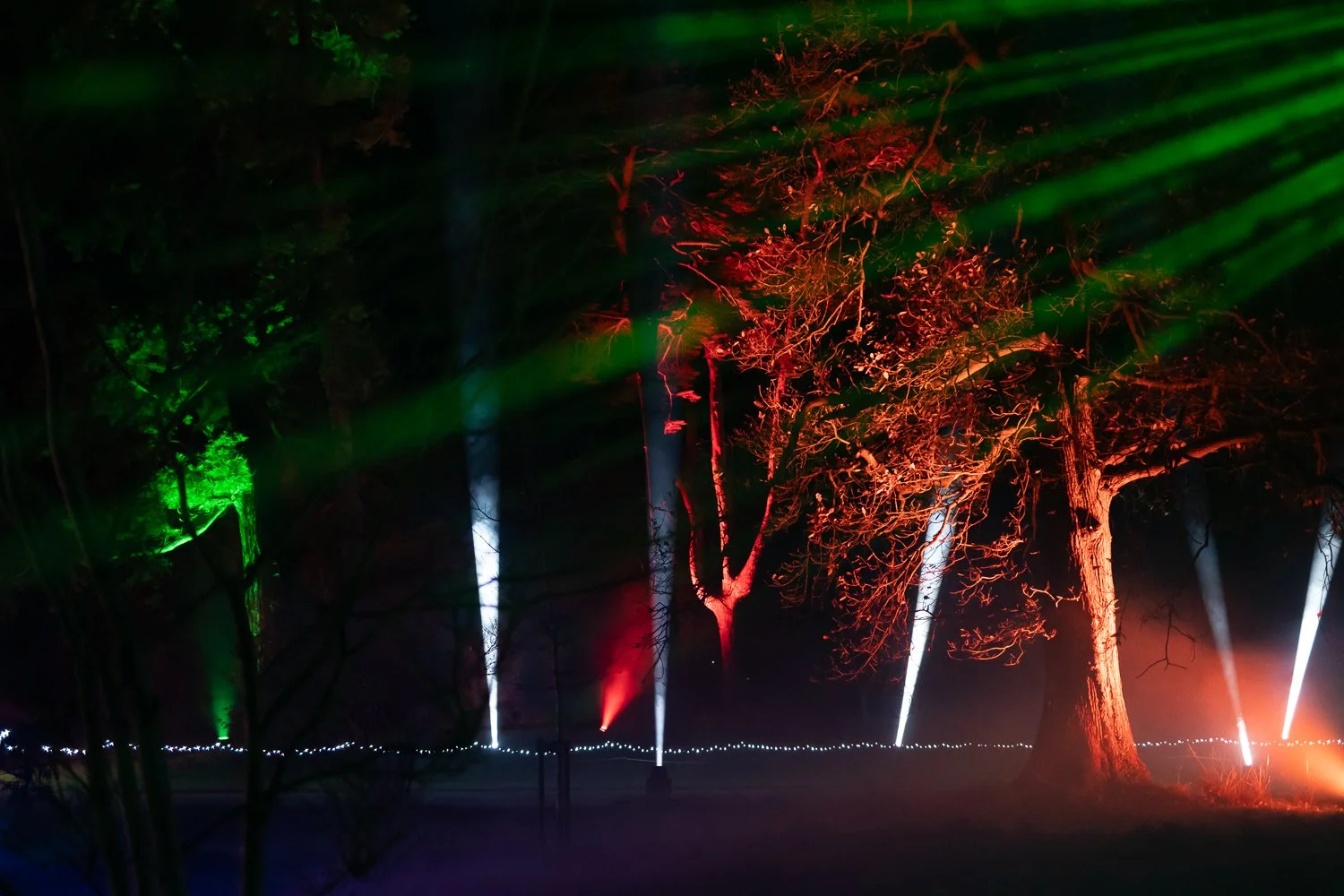 luminate 2025-15.jpg