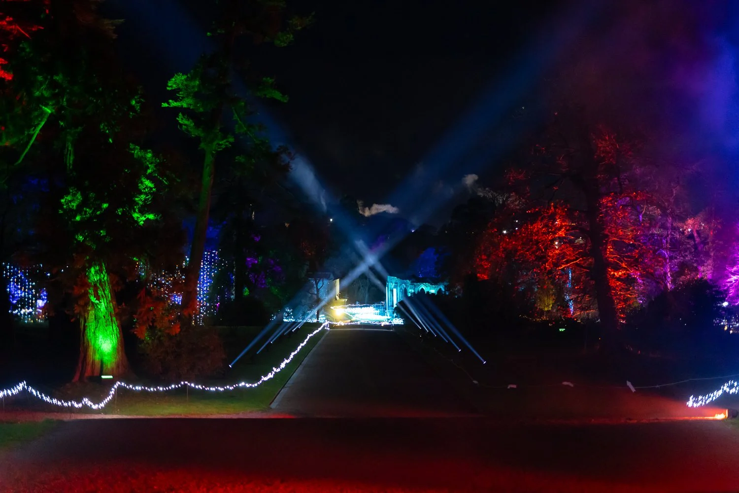 luminate 2025-18.jpg