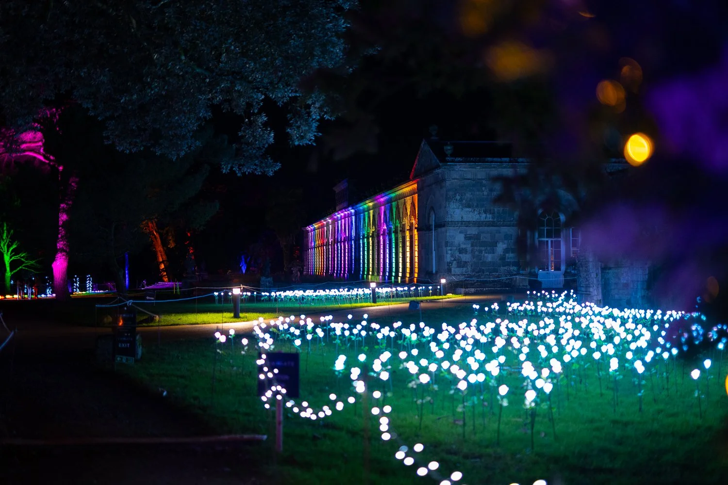luminate 2025-20.jpg