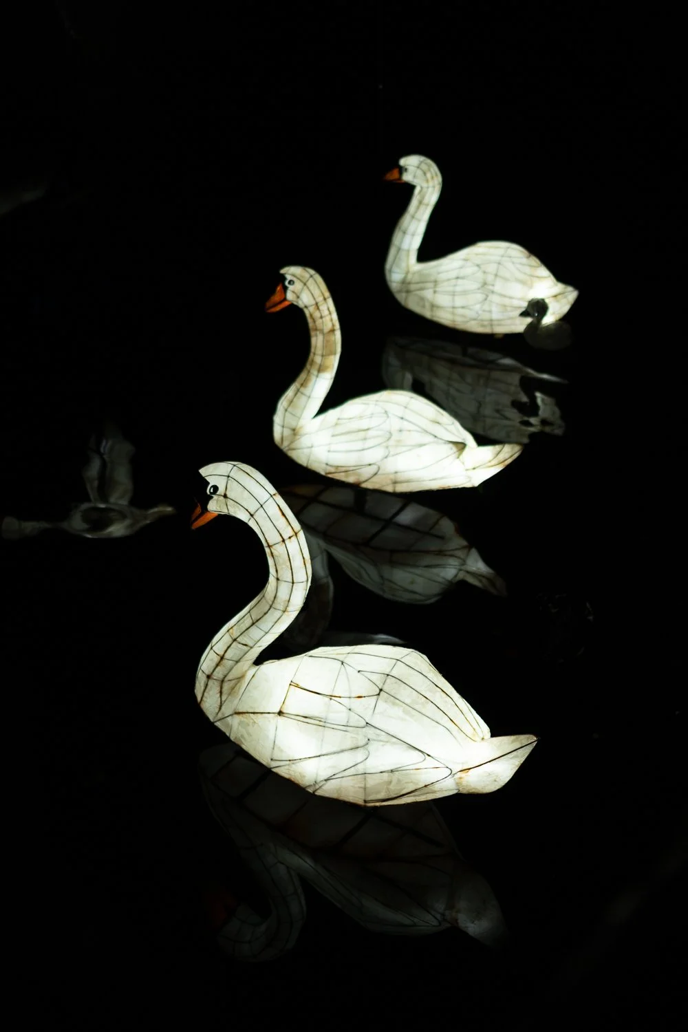 lanterns and light 2025-5.jpg