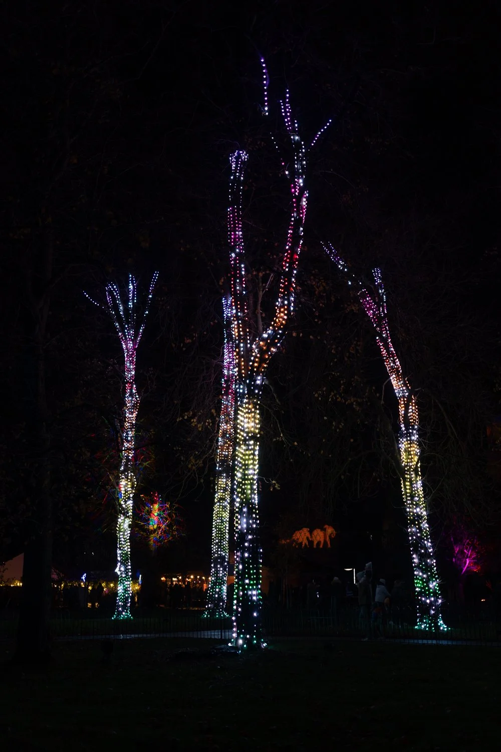 lanterns and light 2025-12.jpg