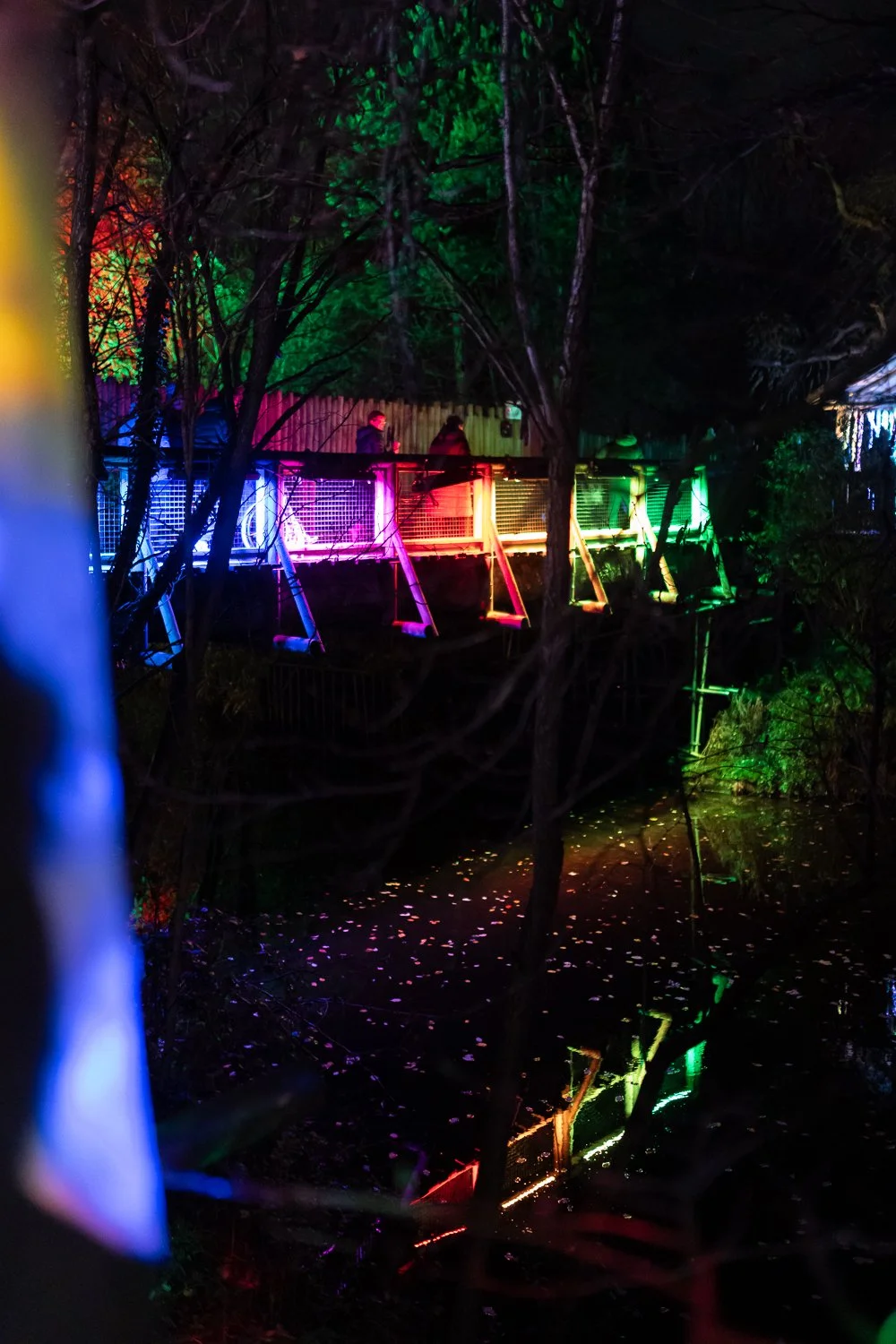 lanterns and light 2025-16.jpg