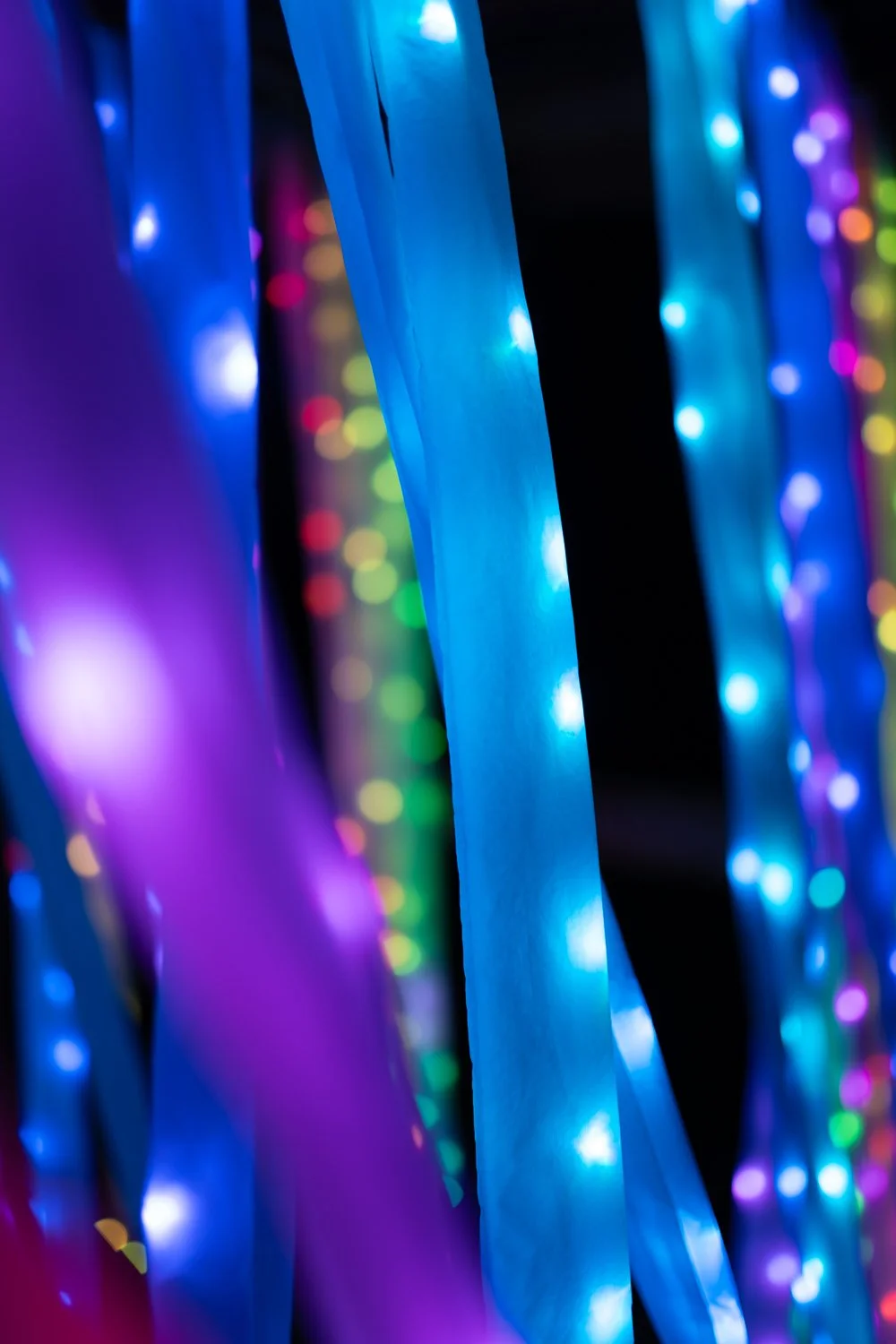 lanterns and light 2025-17.jpg