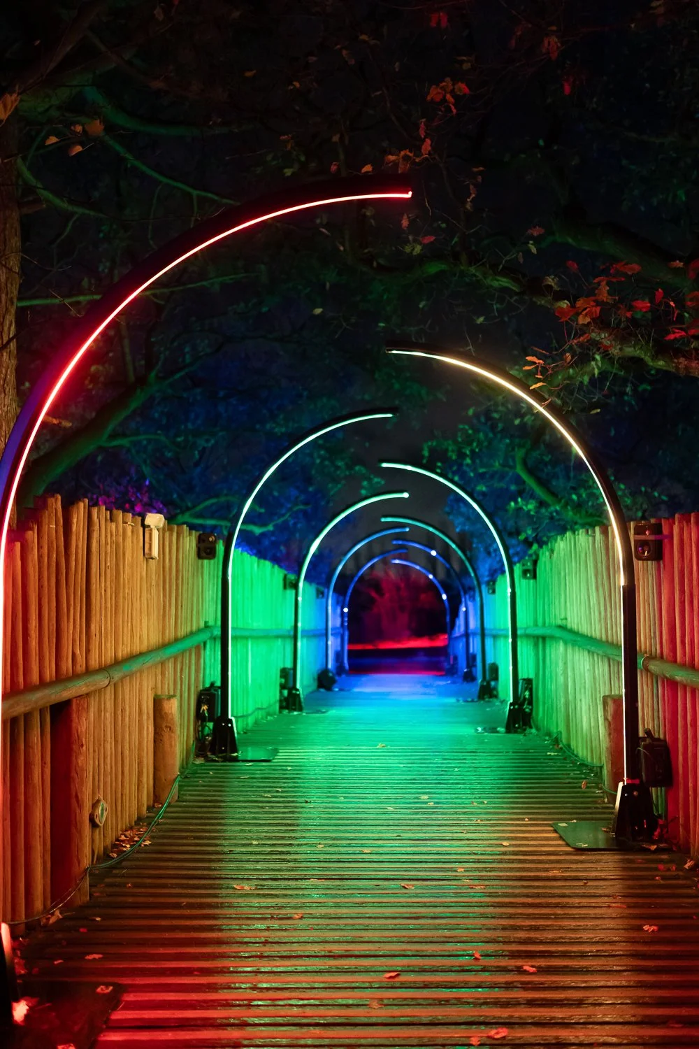lanterns and light 2025-19.jpg