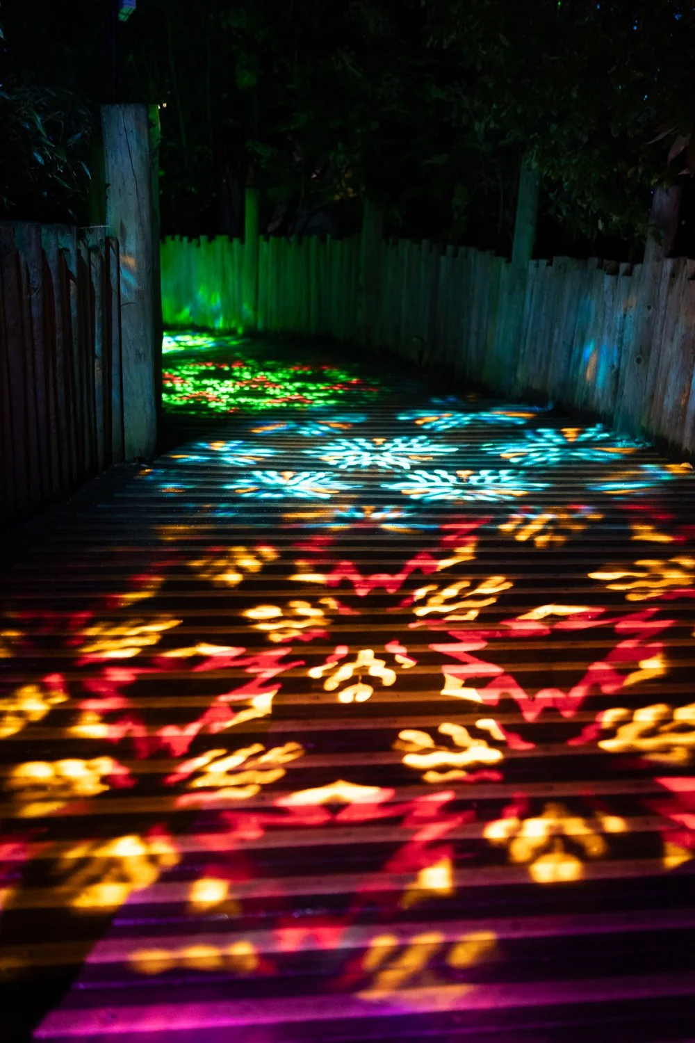 lanterns and light 2025-21.jpg
