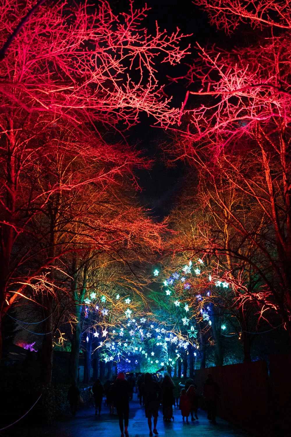 lanterns and light 2025-23.jpg