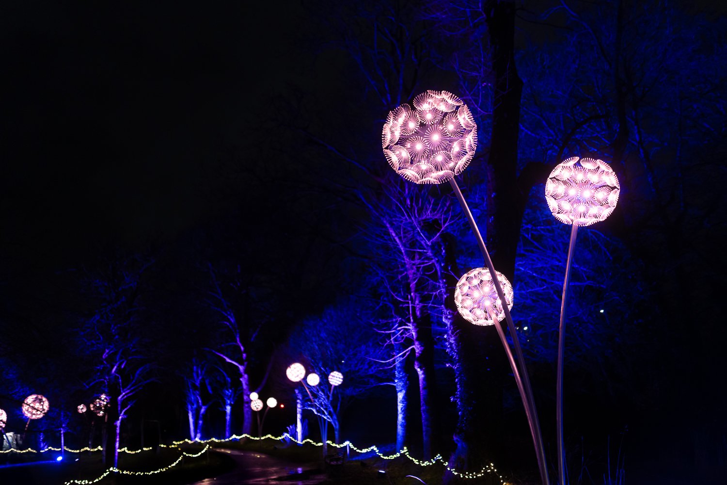 christmas at bute park 2025-5.jpg
