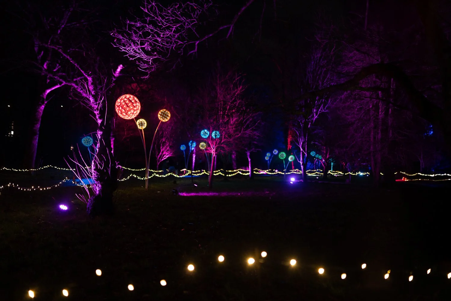 christmas at bute park 2025-7.jpg