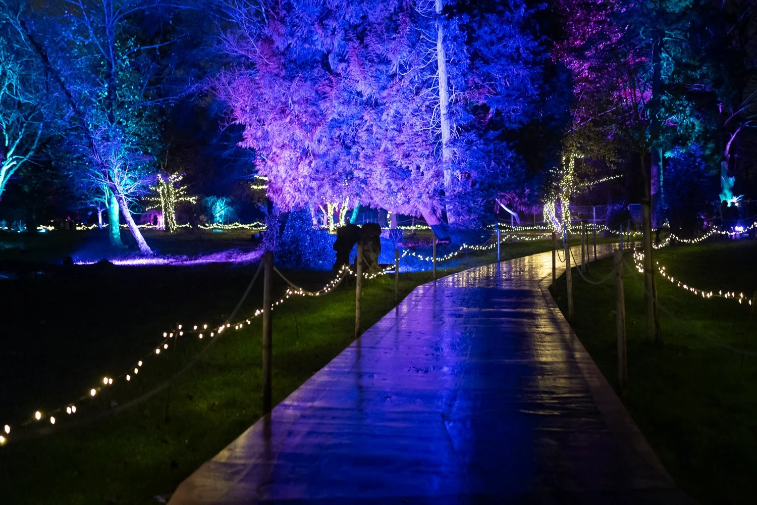 christmas at bute park 2025-8.jpg