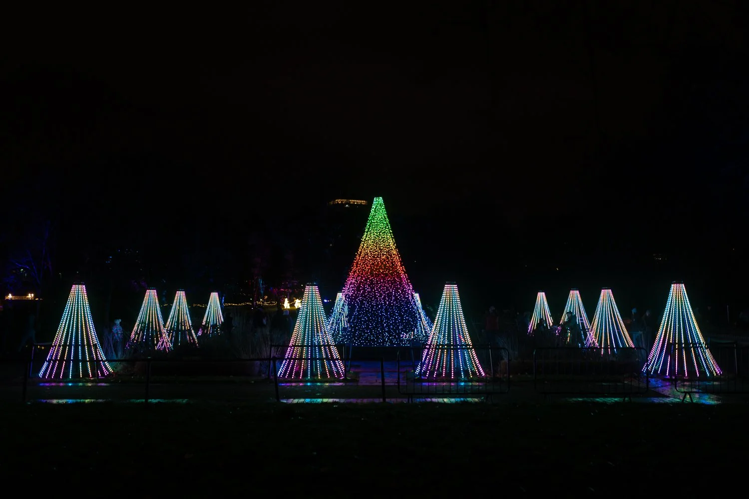 christmas at bute park 2025-11.jpg