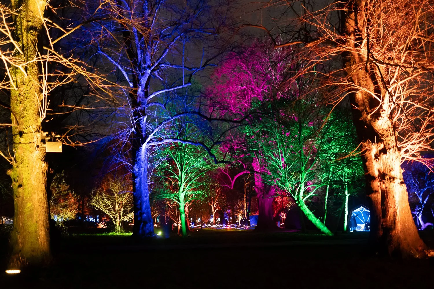 christmas at bute park 2025-9.jpg