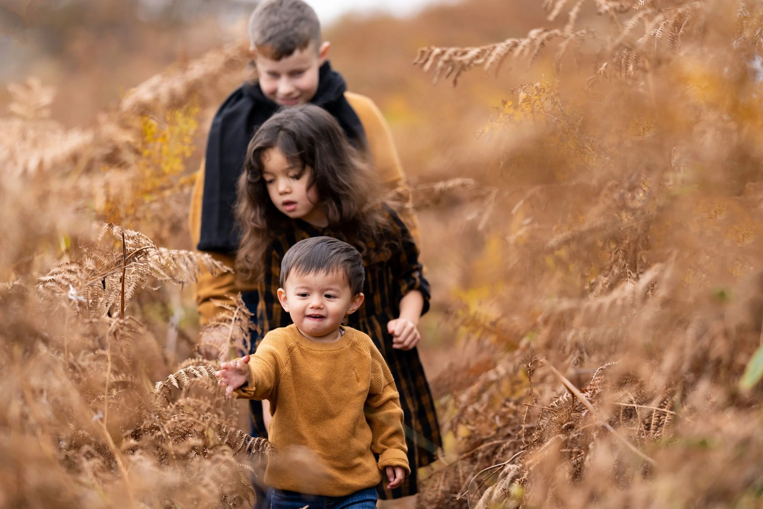 alfie, mollie & harrison-7.jpg