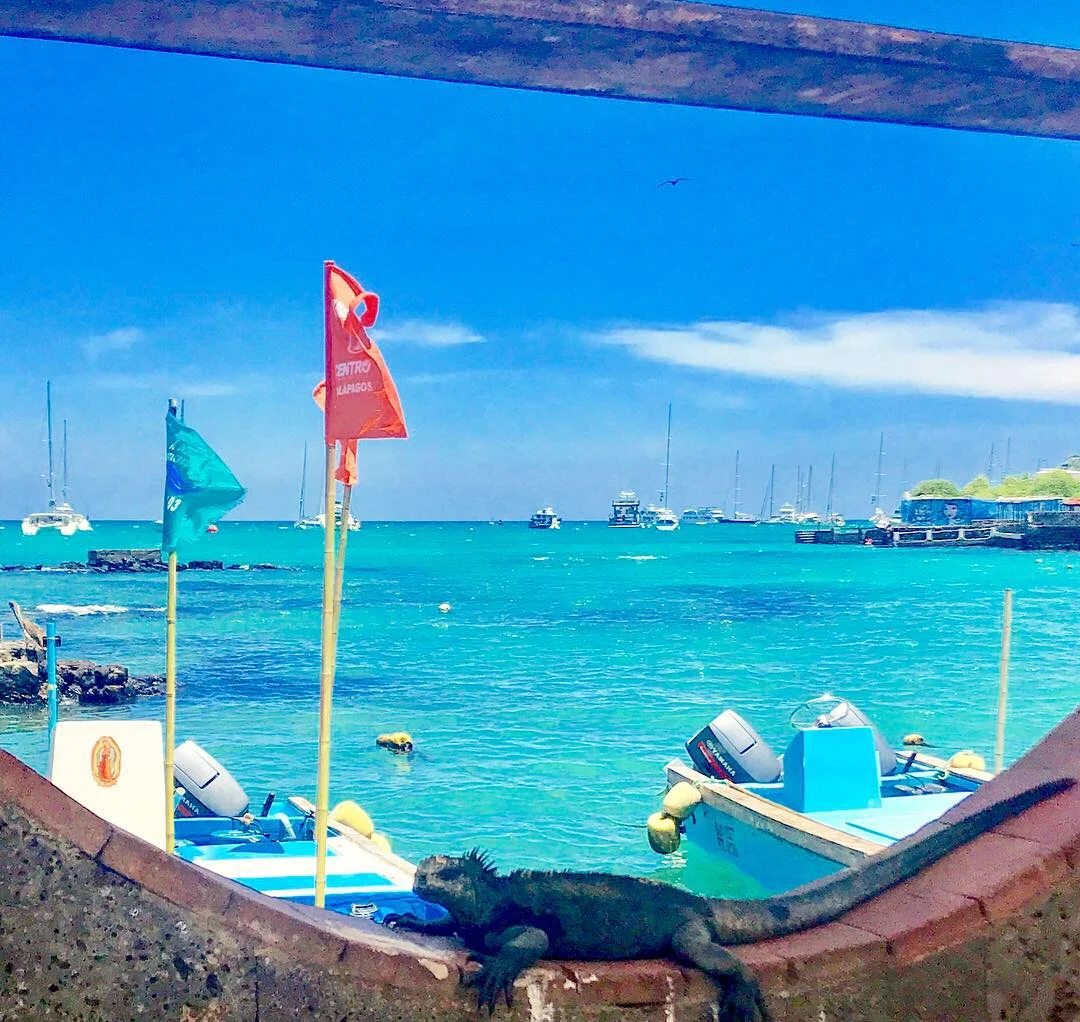 Checklist: Countdown to Freedom!