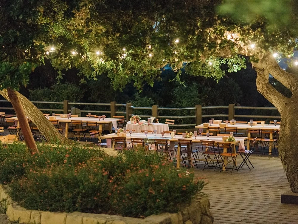 Elings-Park-Santa-Barbara-Wedding-Photographer-Carissa-Woo-Photography_0094.jpg