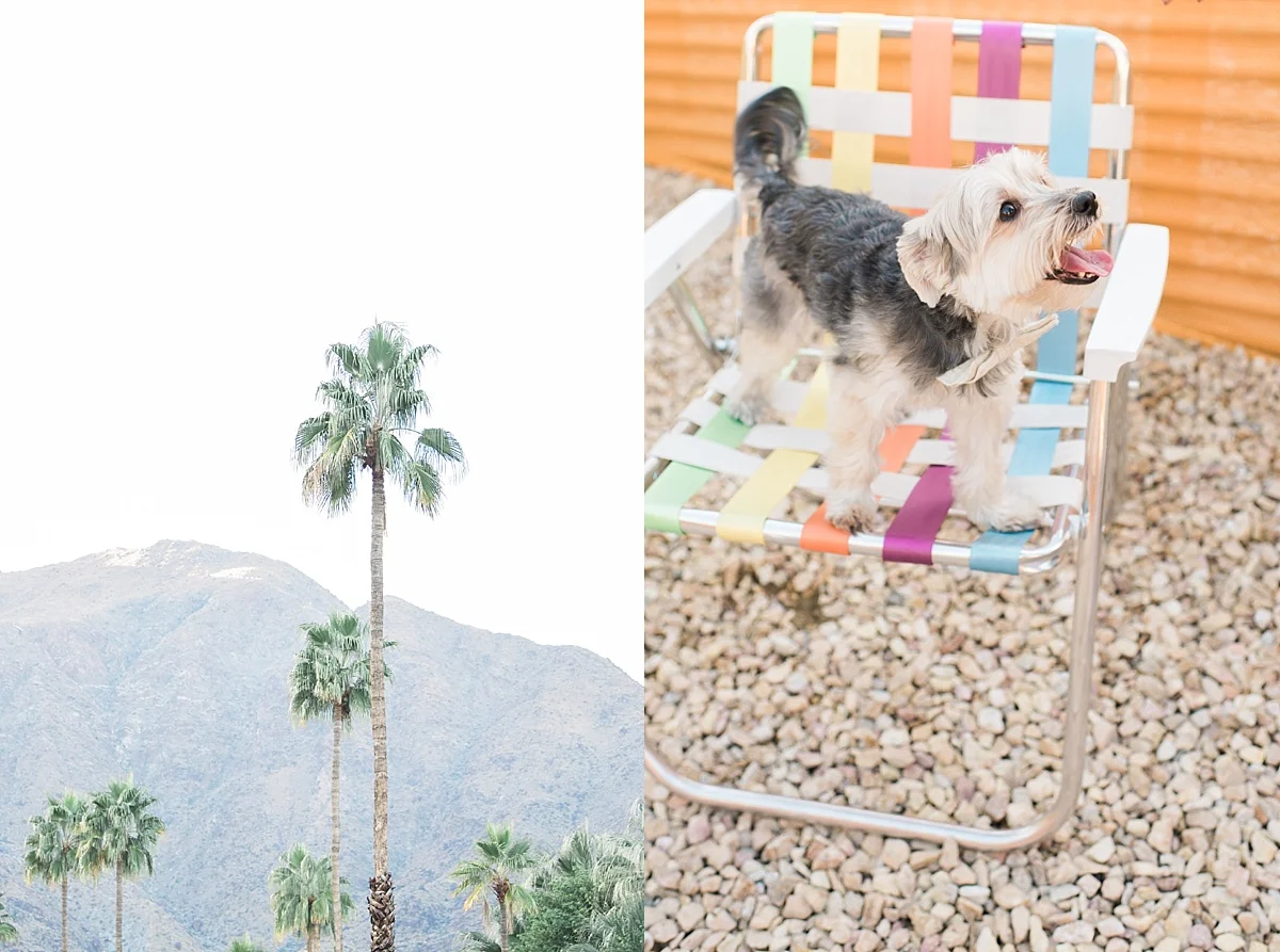 Palm-Springs-Engagement-Photographer-Tiff-Kenny-Carissa-Woo-Photography_0039.jpg