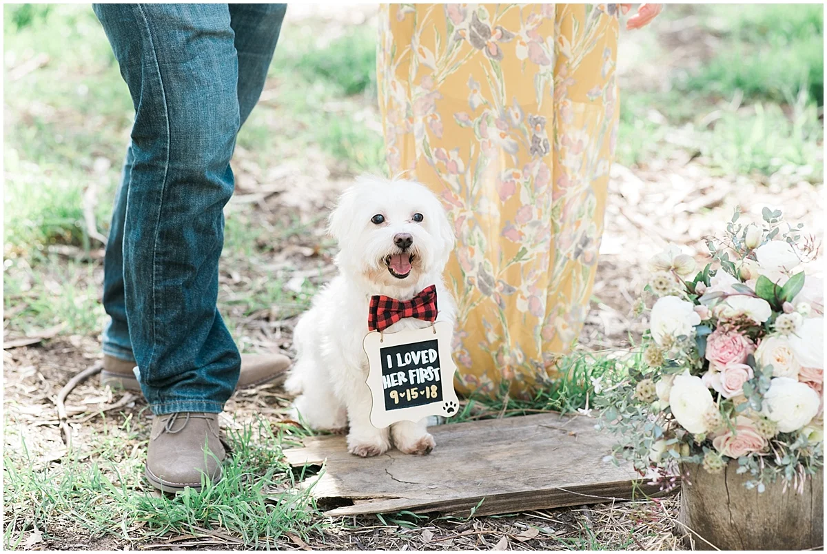 Palos-Verdes-Engagement-Annabel-Jon-Carissa-Woo-Photography_0003.jpg