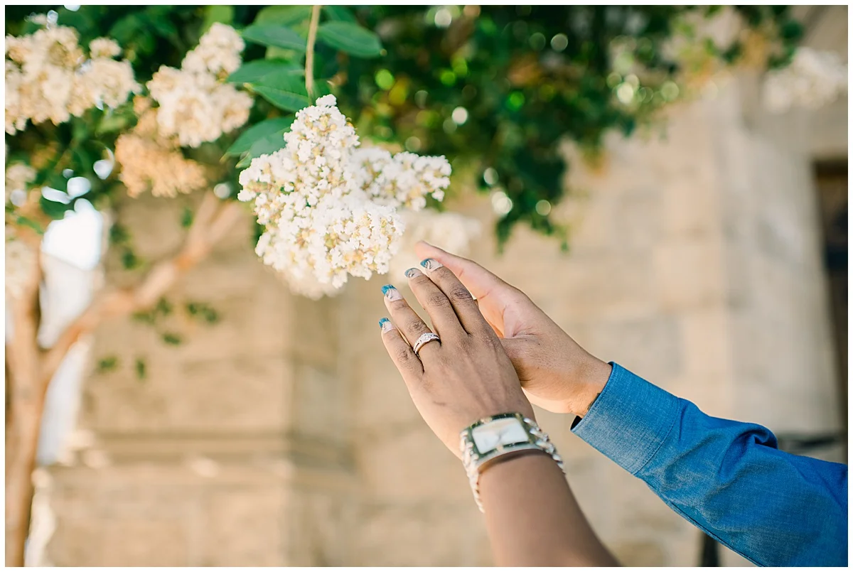 Pasadena-City-Hall-Engagement-Carissa-Woo-Photography_0021.jpg