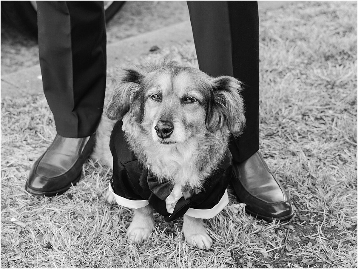 Los-Angeles-Backyard-Wedding-Photographer-Carissa-Woo-Photography_0025.jpg