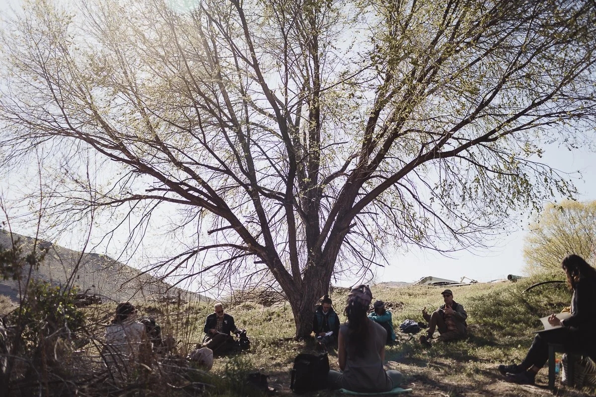 Foundations Training: The Listening Circle (ONLINE) July 2023