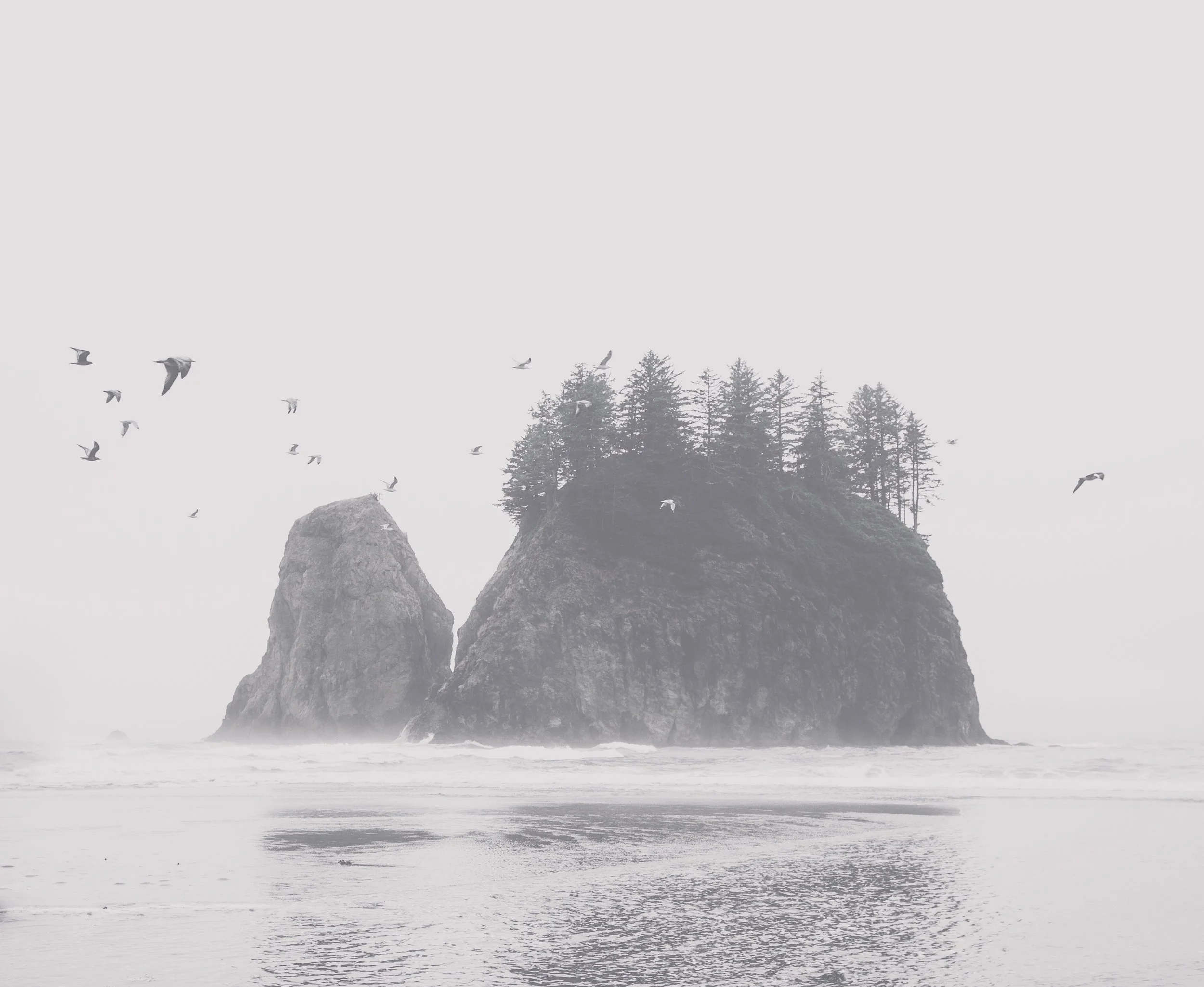 deep breath la push.jpg