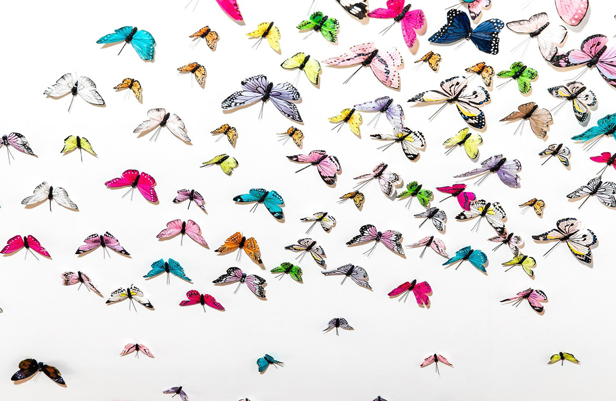 Butterflies.jpg